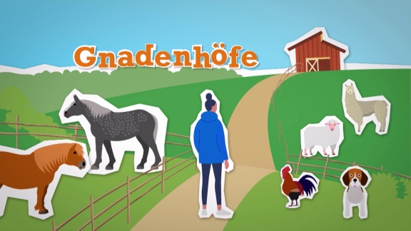 Neuneinhalb - Das Reportermagazin Für Kinder - Gnadenhöfe