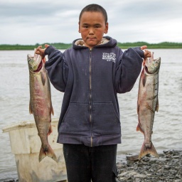 Fischen verboten – Der Kampf um die Lachse von Alaska