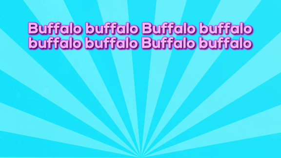 Wer Weiß Denn Sowas? - Was Hat Es Auf Sich Mit Der Wortfolge: „buffalo Buffalo Buffalo Buffalo Buffalo Buffalo Buffalo Buffalo“ ....