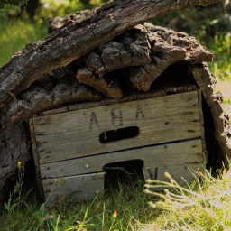 Eine alte Obstkiste und ein paar Holzstücke stehen auf einer Wiese. 