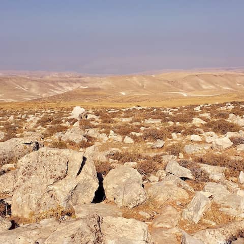 Steinwüste, braunrot leuchtende Berge in der Ferne.