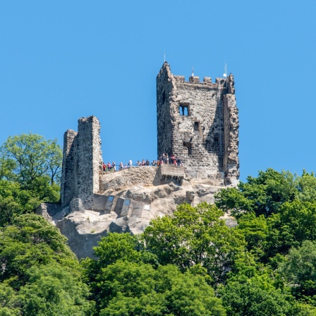 Die Burgruine Drachenfels im Siebengebirge