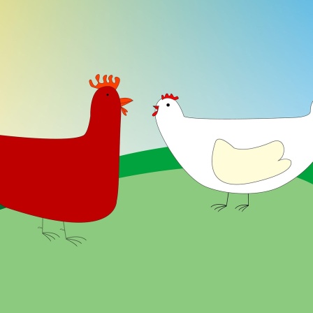 Huhn und Hahn Zeichnung