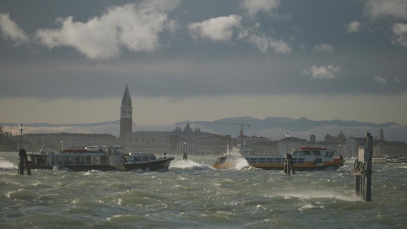 Ttt - Titel, Thesen, Temperamente - Ttt-extra Von Der 60. Biennale In Venedig