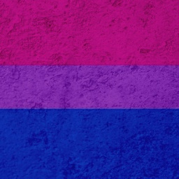 Die Bisexualitäts-Pride-Flagge auf eine Wand gemalt