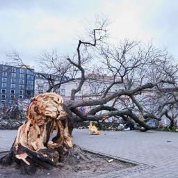 Ein Baum liegt auf dem Gehweg an der Warschauer Straße, nachdem Sturmtief Zeynep über Berlin gefegt ist (Bild: dpa)