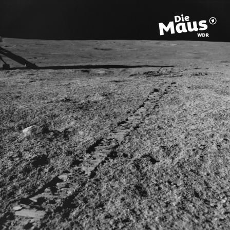 Eis auf dem Mond