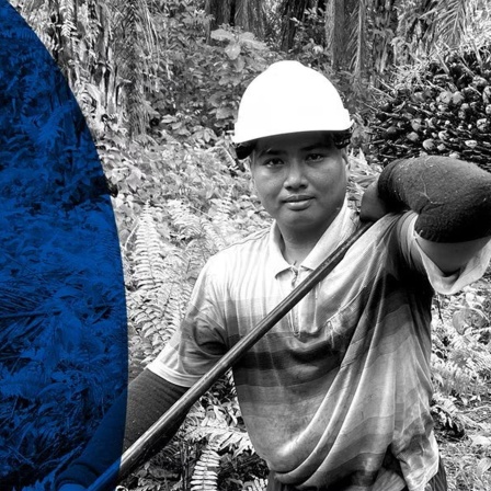 Auf der Ölspur - Doku über nachhaltige Produktion von Palmöl