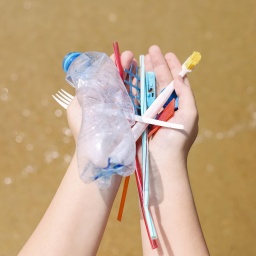 Hände halten Plastikmüll am Strand, alte Zahnbürsten, Plastikflaschen und Plastikstücke.