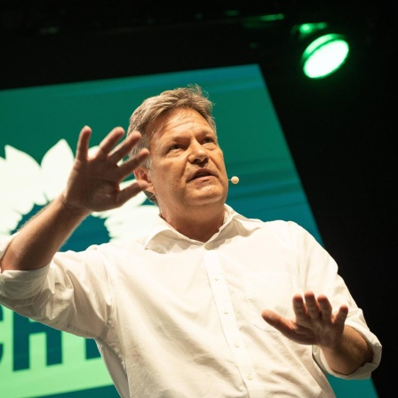 Robert Habeck, Bundeswirtschaftsminister, hält seine Rede vor dem kleinen Parteitag von Bündnis 90/Die Grünen in Potsdam (01.06.2024).