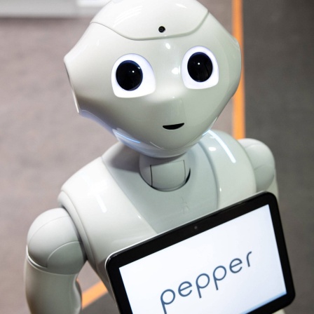 Roboter Pepper