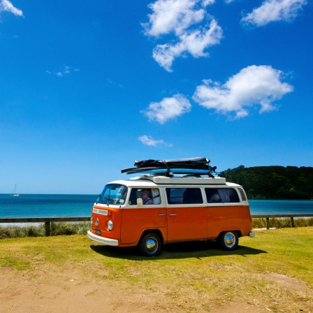 Klassischer VW-Bus aus dem Jahr 1958 fährt auf einer Wiese, dahinter Strand.