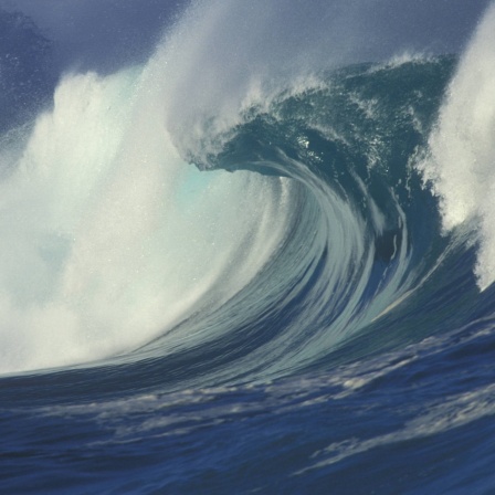 Brechende Welle vor der Waimaia Bay
