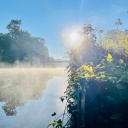Ein Havelkanal bei Potsdam mit morgendlichen Nebelschwaden(Bild: rbb/F.Rößler)