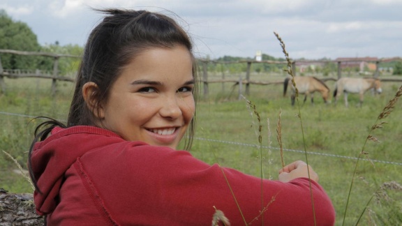 Anna, Paula, Pia Und Die Tiere - Anna Und Die Wilden Tiere: Wie Wild Ist Das Wildpferd.