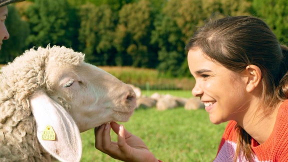 Anna, Pia Und Die Haustiere - Schafe