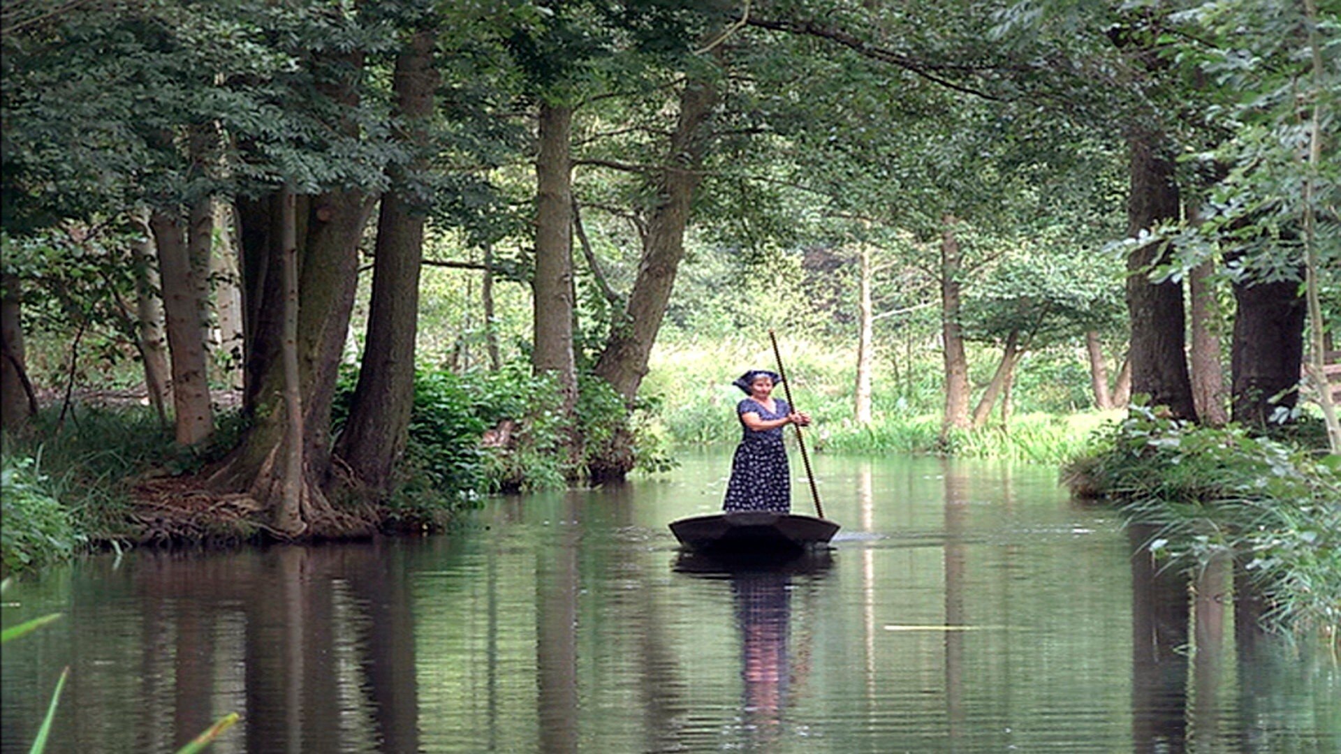 Expeditionen ins Tierreich Wildes Deutschland Der Spreewald ARD Mediathek