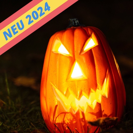 Schaurige Halloween Kürbisse leuchten bei Nacht