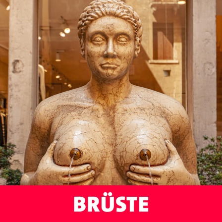Brüste