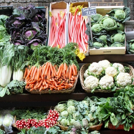 Ein Marktstand mit verschiedenen Gemüsesorten und Rhabarber.