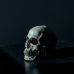 Mit dem Tod des Komponisten Scheffel verschwindet auch der Schädel des Dichters E. T. A. Hoffmann. Zu sehen: Der Schädel eines Menschen.