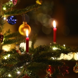 Kerzen brennen in einem Wohnzimmer an einem geschmückten Christbaum.