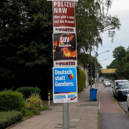 Verschiedene Wahlplakate an einer Straßenlaterne