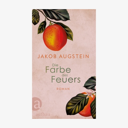 Buchcover: Jakob Augstein - Die Farbe des Feuers