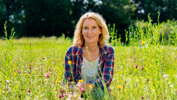 Erlebnis Erde - Das Ende Der Insekten. - Maria Furtwängler Auf Spurensuche