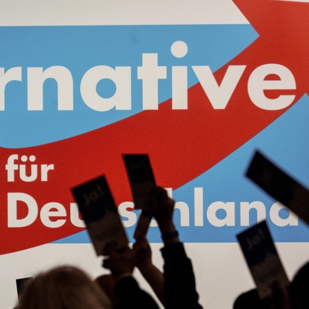 Menschen halten vor dem Plakat der AfD ihre Stimmkarten hoch.