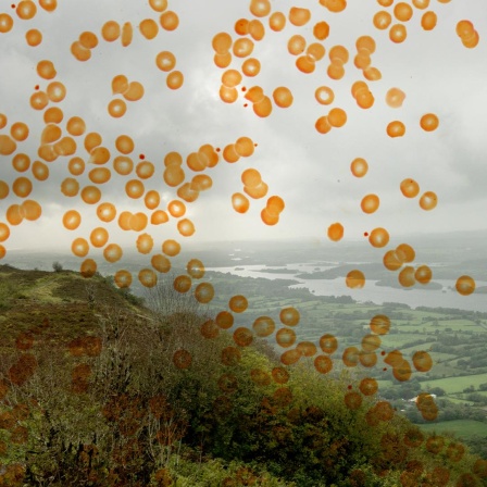 Blick auf grüne Hügel und eine Seenplatte. Das Foto wird von einer Grafik aus orangen Punkten überlagert.