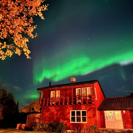 Norwegen: Nordlicht | BR-Hörerreise | Polarexpress in die Arktis