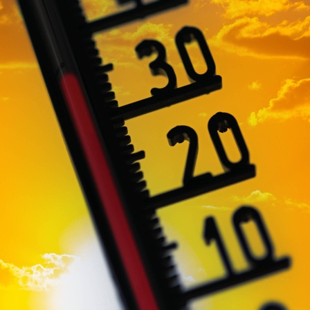 Thermometer
