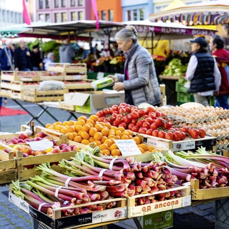 Wochenmarkt Stuttgart auf dem Marktplatz