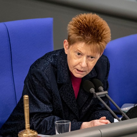Petra Pau (Die Linke), Bundestagsvizepräsidentin, spricht im Bundestag. 