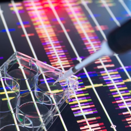Mit einer Pipette wird DNA transferiert.