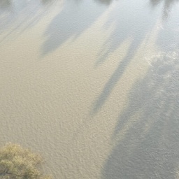 Luftaufnahme des schlammigen Wassers, das über die Ufer des Po fließt und das umliegende Land bedeckt, mit einigen Bäumen und Sträuchern, die nach starken Regenfällen um ihr Überleben kämpfen 24.10.2024