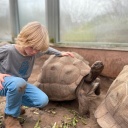Ein Kind hockt neben einer großen Schildkröte. Eine Hand liegt auf ihrem bräunlichen Panzer.