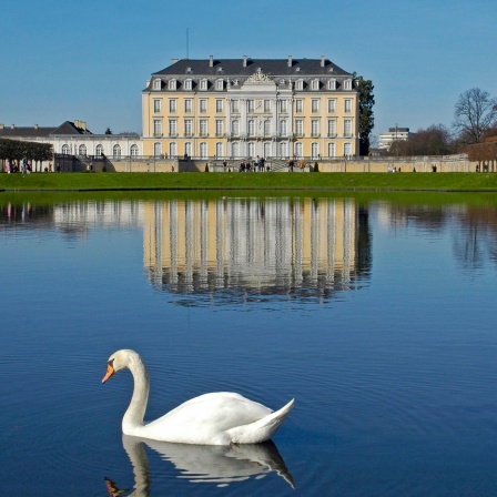 Schloss Augustusburg in Brühl