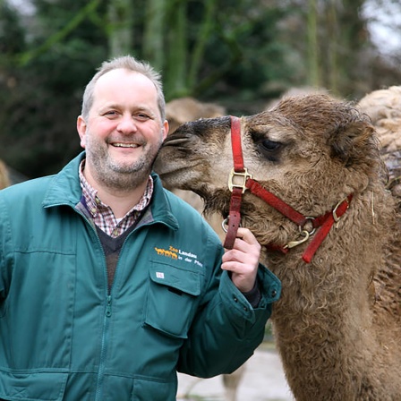 "Sie sind ein Kamel, ist das schönste Lob, das ich mir vorstellen kann." | Jens-Ove Heckel, Zoodirektor