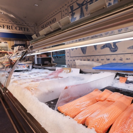 Lachs in der Fischtheke