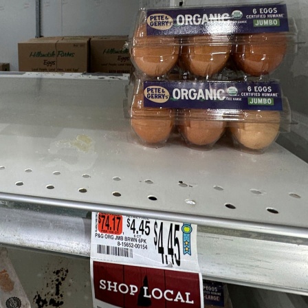 Eier stehen in einem Regal eines Lebensmittelgeschäfts in den USA zum Verkauf.