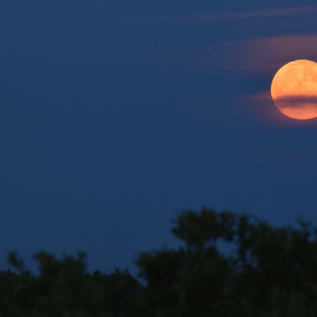 Ein Erdbeermond am Himmel