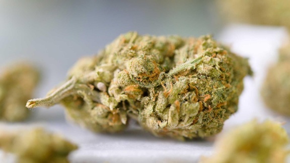 Morgenmagazin - Service: Teilweise Legalisierung Von Cannabis