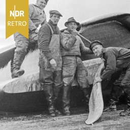 Männer der Besatzung des Fabrikschiffes Jan Wellem der deutschen Walfangflotte am Unterkiefer eines Walkadavers, 1930er Jahre