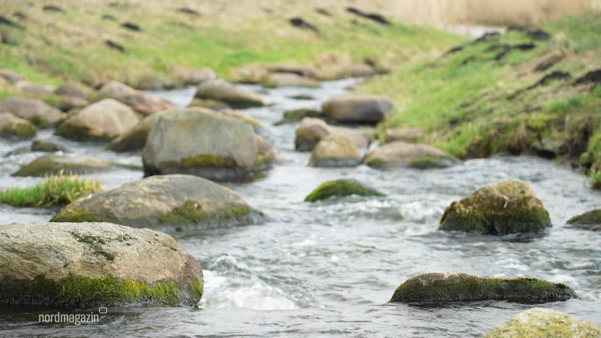 Nordmagazin: 'Jahrhundertgift' PFAS An Vielen Orten In MV Nachgewiesen ...