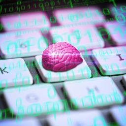 Bildmontage: Ein Gehirn liegt auf einer Computertastatur, Symbolfoto künstliche Intelligenz