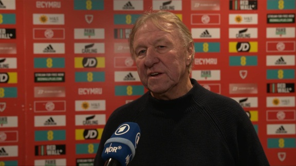 Sportschau - Bundestrainer Hrubesch - 'haben Das Ziel Erreicht'