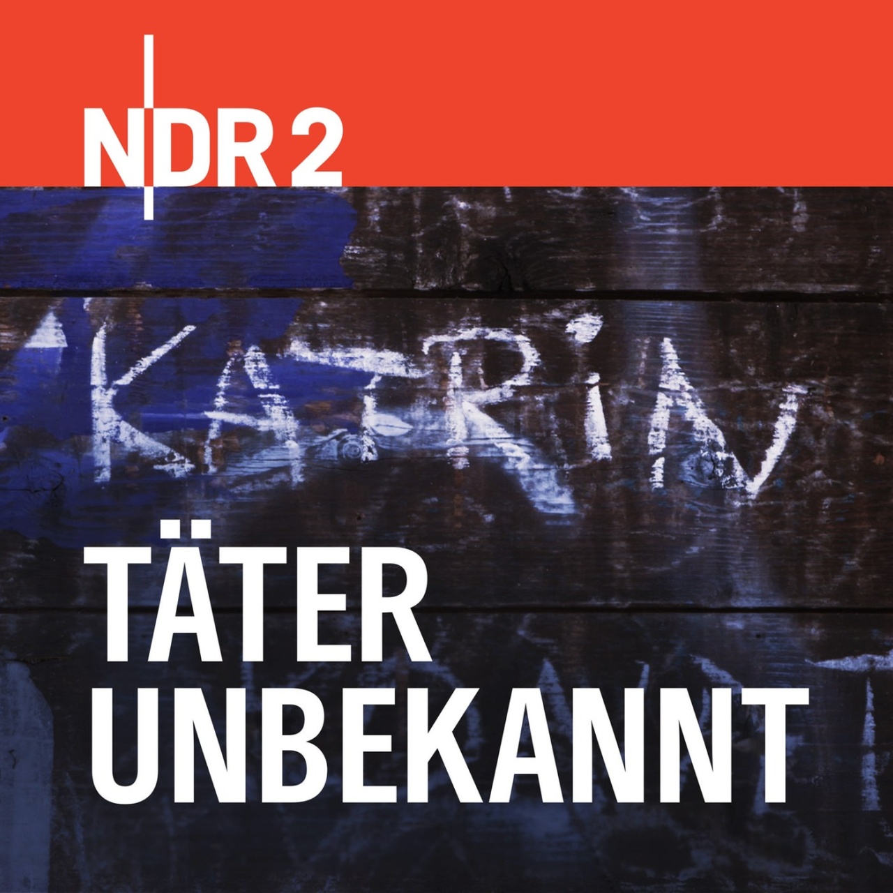 Ndr 2 Täter Unbekannt · Ard Audiothek 2133