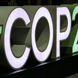 COP29